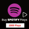 Buy-2000-Spotify-Plays