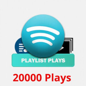 Buy 20000 Spotify Playlist Plays