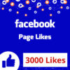 Buy-3000-Facebook-Page-Like