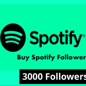 Buy 3000 Spotify Followers