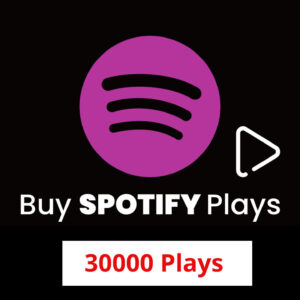 Buy 30000 Spotify Plays