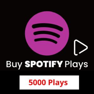 Buy 5000 Spotify Plays