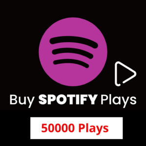 Buy 50000 Spotify Plays
