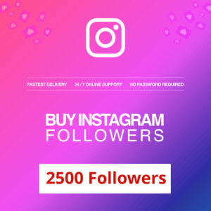 Buy 2500 Instagram Followers