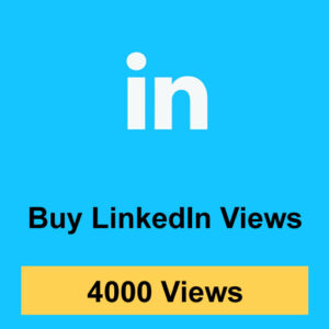 Buy 4000 LinkedIn Views